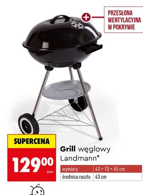 Grill węglowy promocja w Biedronka