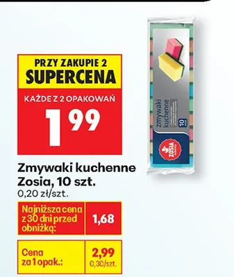Zmywak kuchenny Ufo promocja w Biedronka
