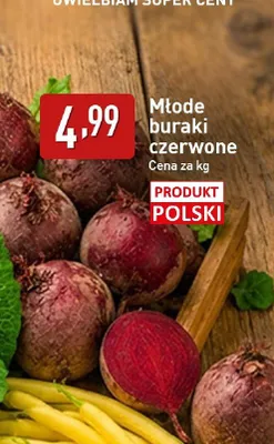 Buraki czerwone młode polskie promocja w Aldi