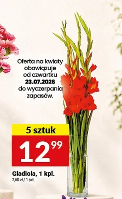 Gladiola promocja w Twój Market