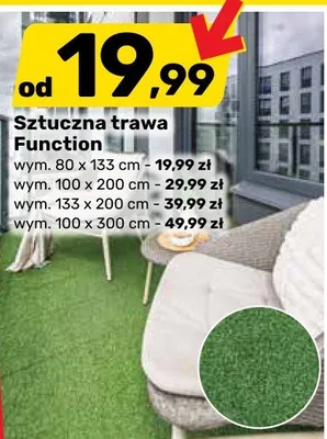 Sztuczna trawa Function promocja w Bricomarche
