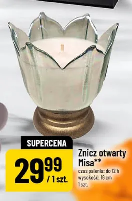 Znicz otwarty Misa promocja w POLOmarket
