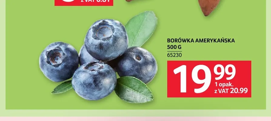 Borówki amerykańskie promocja w Selgros