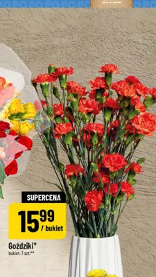 Goździki promocja w POLOmarket