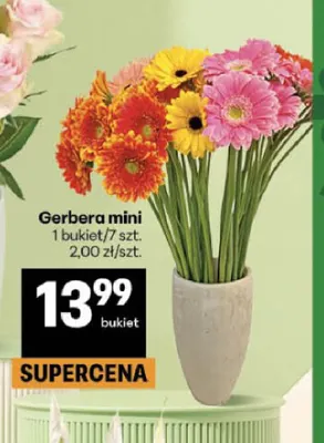 Gerbera mini promocja w Delikatesy Centrum