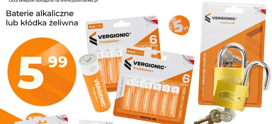 Kłódka żeliwna Vergionic promocja w POLOmarket