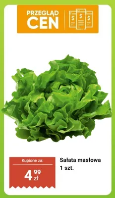 Sałata masłowa 1 szt. promocja w Biedronka
