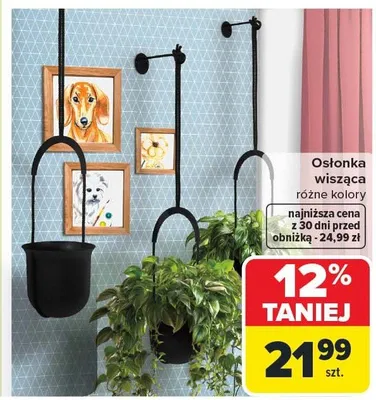 Osłonka wisząca różne kolory promocja w Carrefour