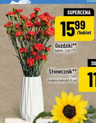 Goździki promocja w POLOmarket
