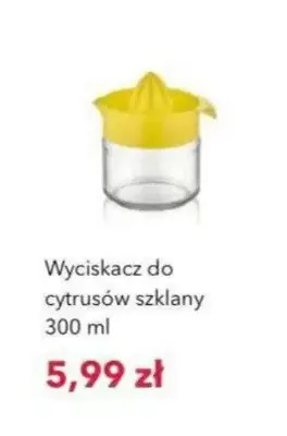 Wyciskacz do cytrusów szklany 300 ml promocja w Nela