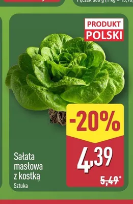 Sałata masłowa z kostką polska promocja w Aldi