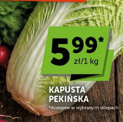 Kapusta pekińska promocja w Groszek