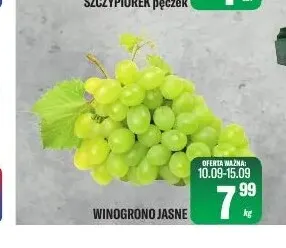 Winogrona jasne promocja w Tomi Markt