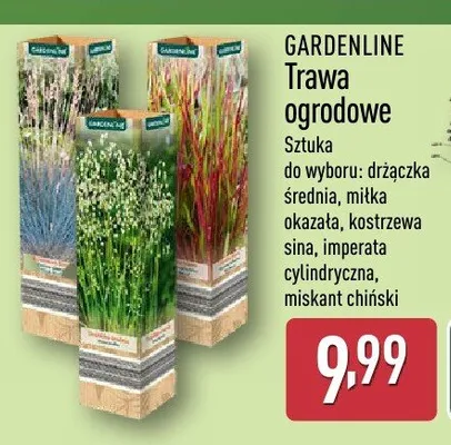 Trawa ogrodowa Gardenline promocja w Aldi