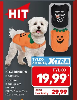 Kostium dla psa z zapięciem na rzep K-Carinura promocja w Kaufland
