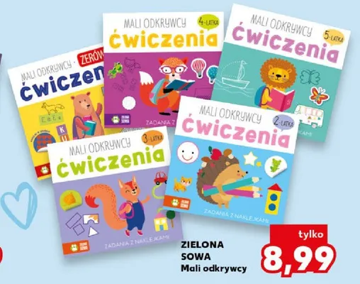 Książka Mali odkrywcy ćwiczenia 2-latka Zielona Sowa promocja w Kaufland