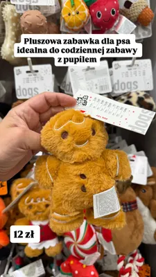 Pluszowa zabawka dla psa For Pets piernik promocja w Pepco
