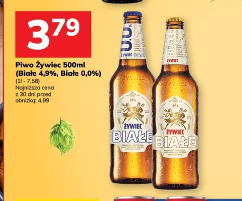 Piwo Żywiec Białe 4,9% promocja w Hitpol