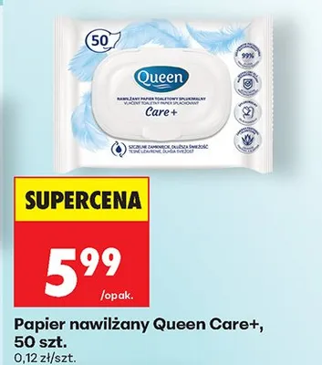 Papier nawilżany Queen Care+ promocja w Biedronka