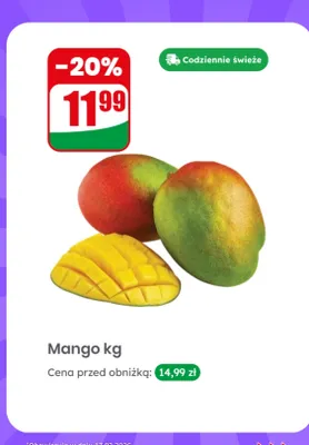 Mango luz promocja w Dino