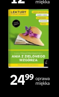Książka Ania z Zielonego Wzgórza oprawa miękka Wilga promocja w Empik