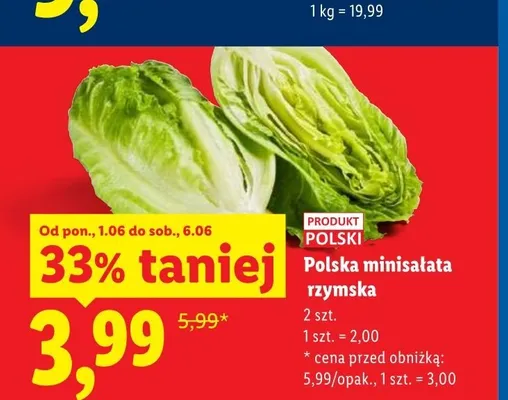 Minisałata rzymska polska promocja w Lidl
