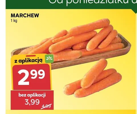 Marchew promocja w Stokrotka