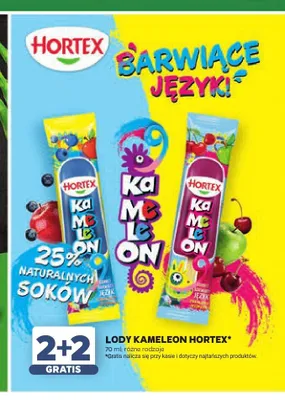 Lody Kameleon Hortex promocja w Stokrotka