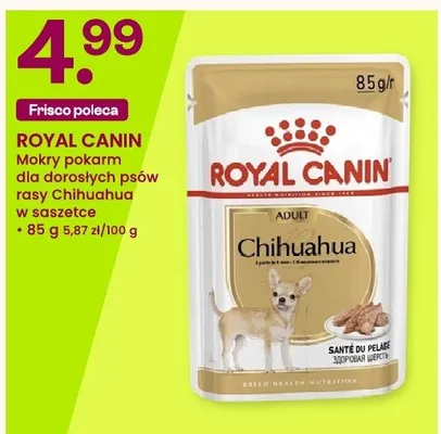 Mokry pokarm dla dorosłych psów rasy Chihuahua w saszetce Royal Canin promocja w Frisco