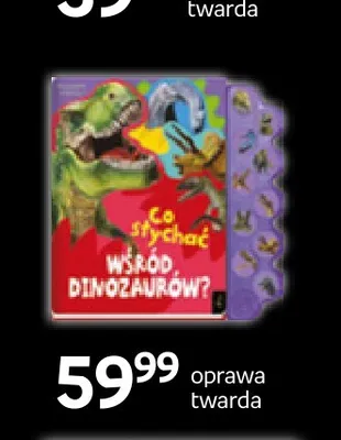 Książka Co słychać wśród dinozaurów Wilga promocja w Empik