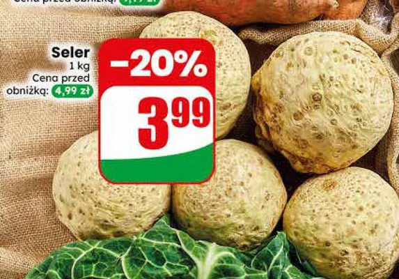 Seler promocja w Dino