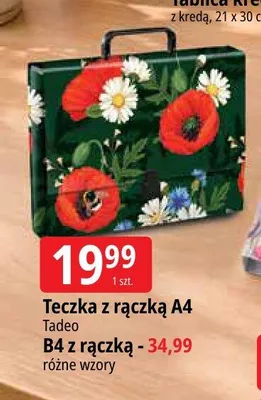 Teczka z rączką A4 Tadeo promocja w Leclerc