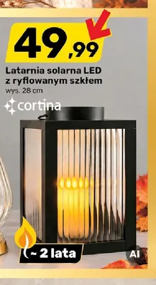 Latarnia solarna LED z ryflowanym szkłem wys. 28 cm Cortina promocja w Bricomarche