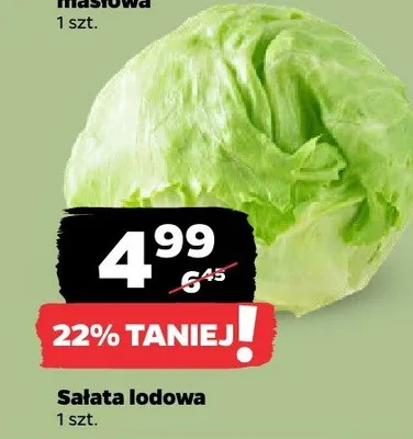 Sałata lodowa promocja w Netto