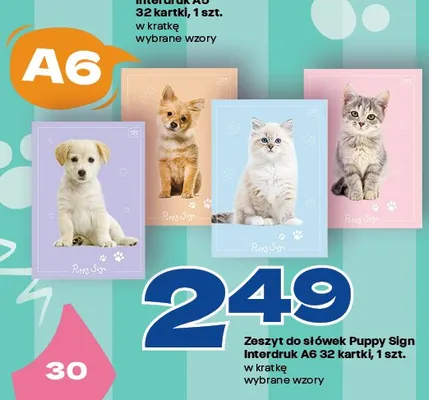 Zeszyt do słówek A6 Puppy Sign Interdruk 32 kartki promocja w Twój Market