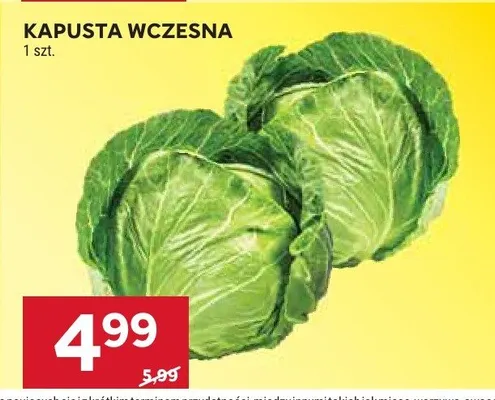 Kapusta wczesna promocja w Stokrotka