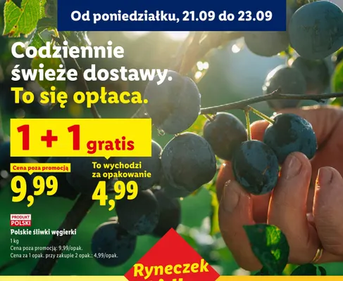 Śliwki węgierki polskie Ryneczek Lidla promocja w Lidl