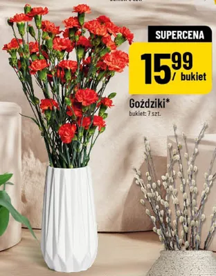 Bazie promocja w POLOmarket