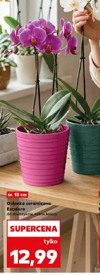 Osłonka ceramiczna Escalera do storczyków promocja w Kaufland