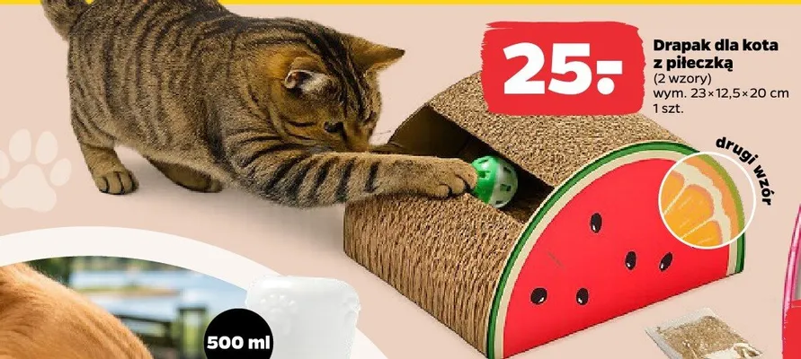 Drapak dla kota z piłeczką promocja w Netto