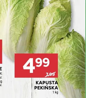 Kapusta pekińska promocja w Stokrotka