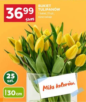 Bukiet tulipanów 25 szt. promocja w Stokrotka