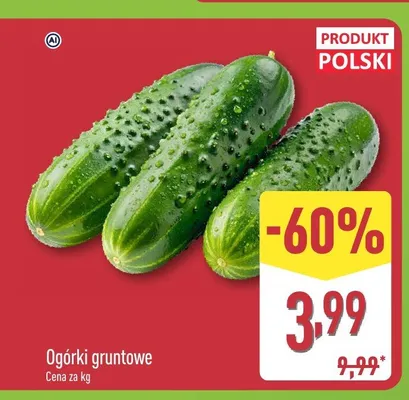 Ogórki gruntowe polskie promocja w Aldi