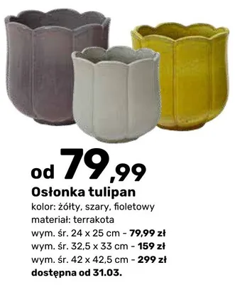Osłonka tulipan żółta promocja w Bricomarche