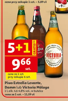 Piwo Estrella Levante promocja w Auchan