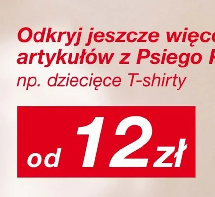 T-shirt dziecięcy Paw Patrol promocja w KiK