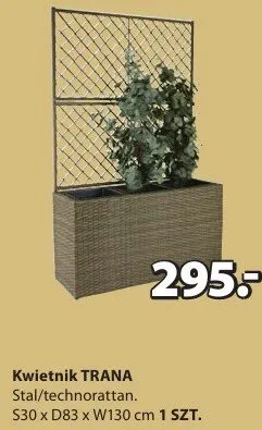 Kwietnik TRANA promocja w Jysk