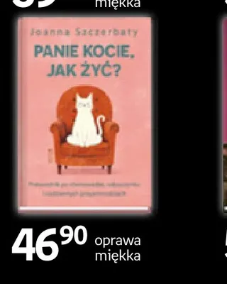 Książka Panie Kocie jak żyć? Joanna Szczerbaty promocja w Empik