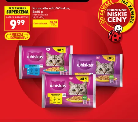Karma dla kota Whiskas Selezione Delicata 8-pak 85 g promocja w Biedronka
