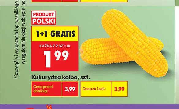 Kukurydza kolba promocja w Biedronka